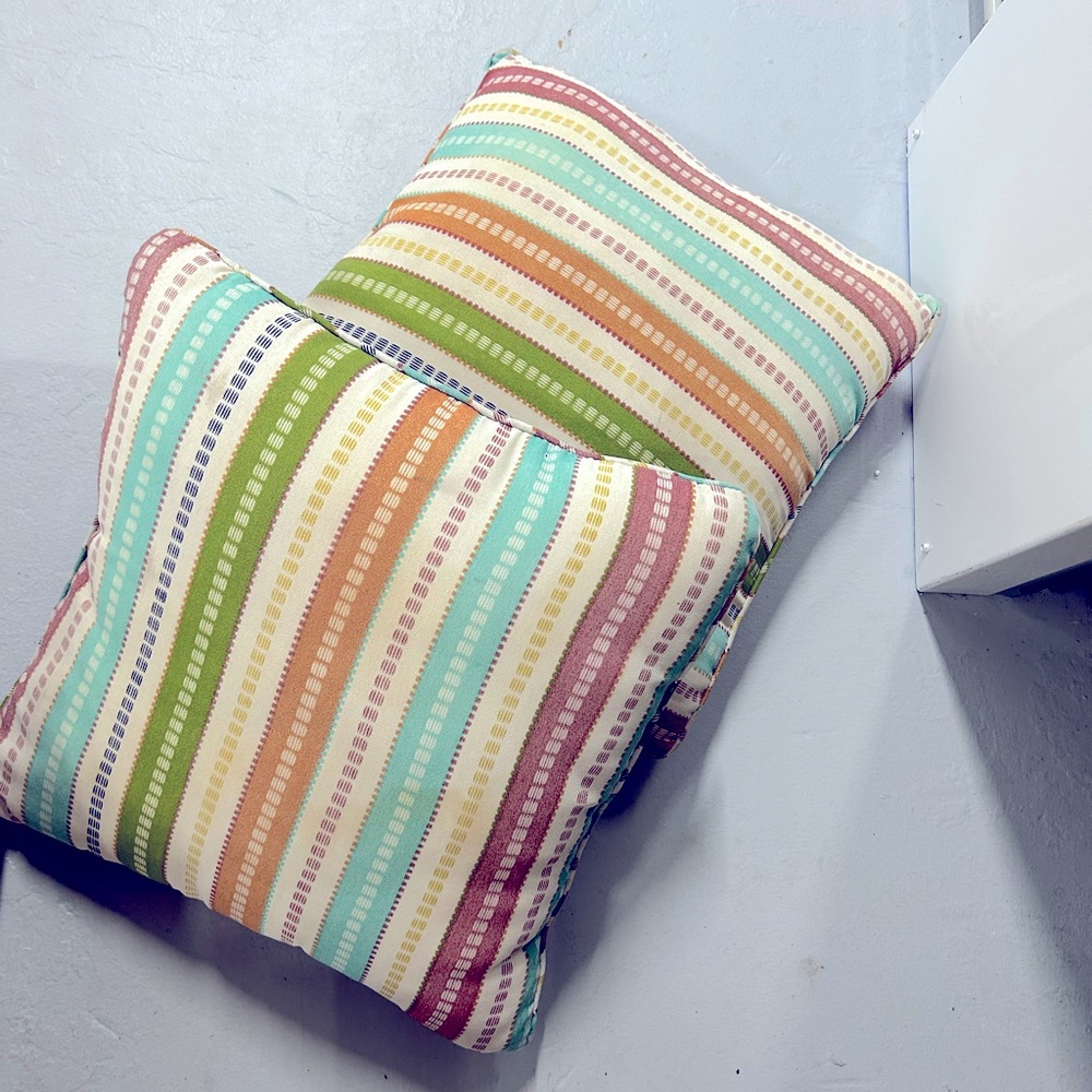 Pair of Decorative Throw Pillows
